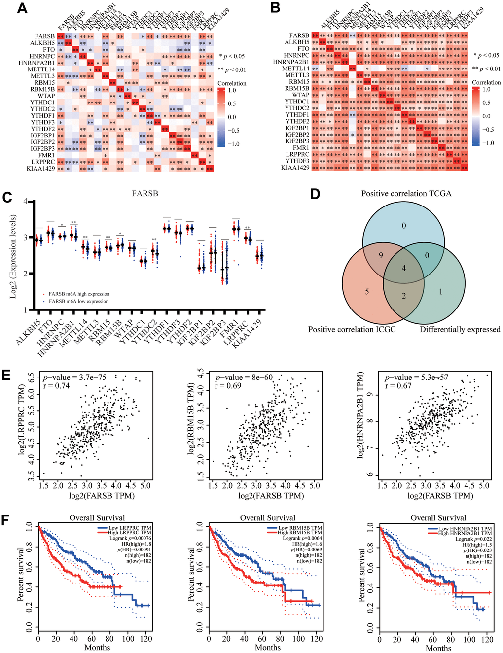 Correlation of FARSB expression with m6A related genes in HCC. (A, B) TCGA HCC data set and ICGC data set analyzed the correlation between the FARSB and m6A related genes expression in HCC. (C) The differential expression of glycolysis related genes between high and low FARSB expression groups in HCC tumor samples. (D) Venn diagram showed both expression correlation and differential expression of genes including LRPPRC, RBM15B, HNRNPA2B1, HNRNPC. (E) A scatter plot was drawn to show the correlation between the FARSB and m6a related genes expression, including LRPPRC, RBM15B, HNRNPA2B1, HNRNPC. (F) Kaplan-Meier curve of LRPPRC, RBM15B, HNRNPA2B1 *P P P 