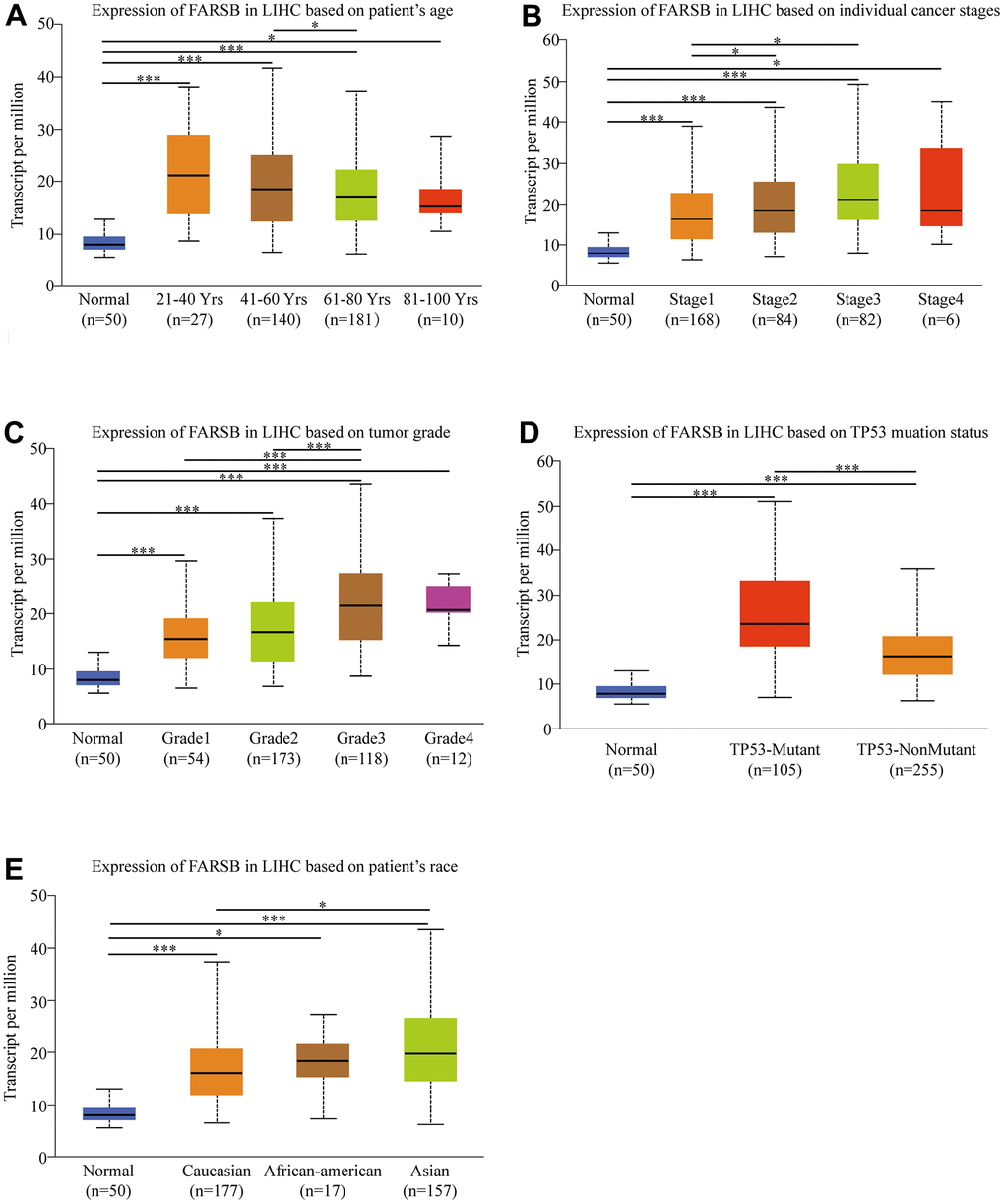 Box-plots exploring the relationship between FARSB expression and clinicopathological characteristics (UALCAN). Increased FARSB expression was significantly with (A) age, (B) cancer stage, (C) tumor grade, (D) TP53 muation, (E) patient race. *P P P 