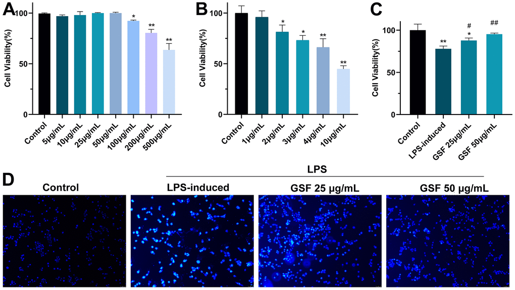 (A) The effect of GSF (5, 10, 25, 50 100, 250, and 500 μg/mL) on cell viability. (B) The effect of LPS (1, 2, 3, 4, and 5 μg/mL) on cell viability. (C) The effect of GSF on LPS-induced cell viability. (D) Hochest staining of HT-22 cell. *P