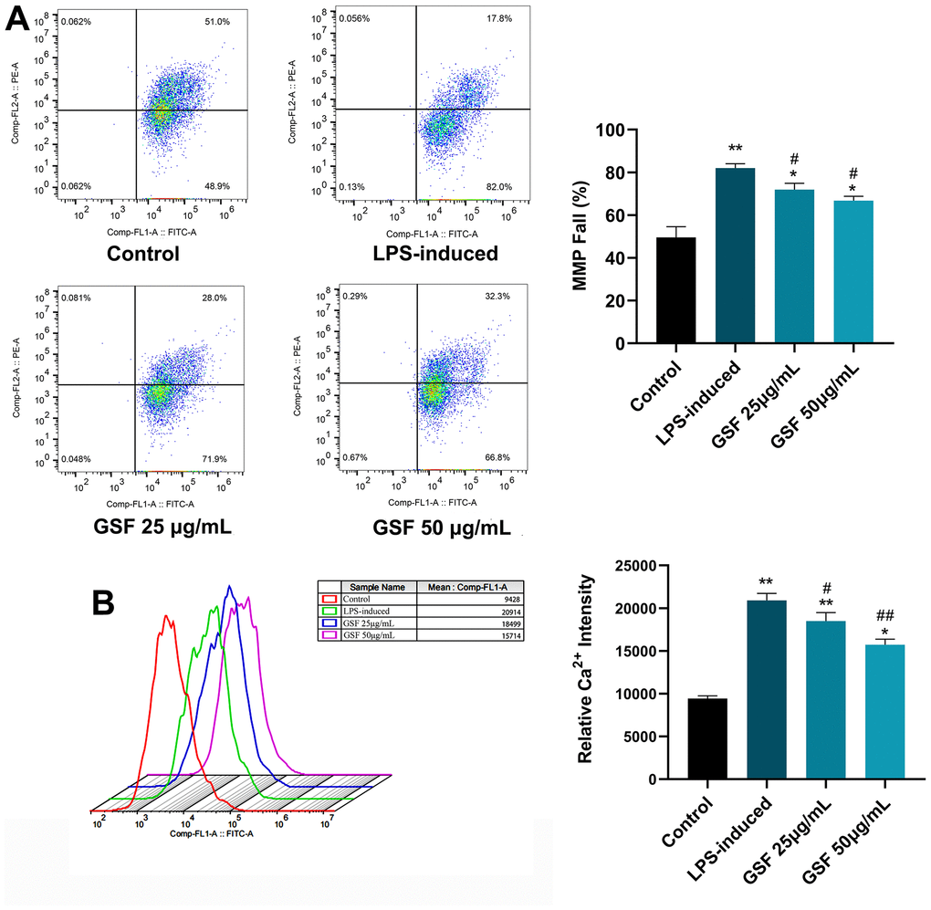 (A) MMP of HT-22 cells was determined using flow cytometry with JC-1 staining, and the MMP fall (%) were counted and displayed. (B) Ca2+ level of HT-22 cell after LPS-induced and GSF treatment was determined using flow cytometry, and the relative Ca2+ intensities were counted and displayed. *P