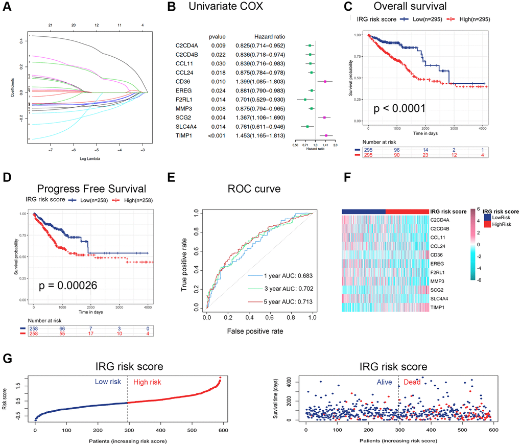 Construction and validation of the IRG risk score in CRC. (A) LASSO regression was performed, and the minimum criteria and coefficients were calculated. (B) Univariate Cox regression analysis of 11 candidate prognosis-related IRGs. (C, D) Kaplan-Meier analysis of overall survival (C) and progression-free survival (D) based on the IRG risk score of CRC patients in the TCGA dataset (log-rank p E) ROC curve of the IRG risk score for 1-, 3- and 5-year overall survival in the TCGA dataset. (F, G) The distribution of risk scores, survival status and candidate gene expression data of CRC patients based on the IRG risk score in the TCGA dataset.
