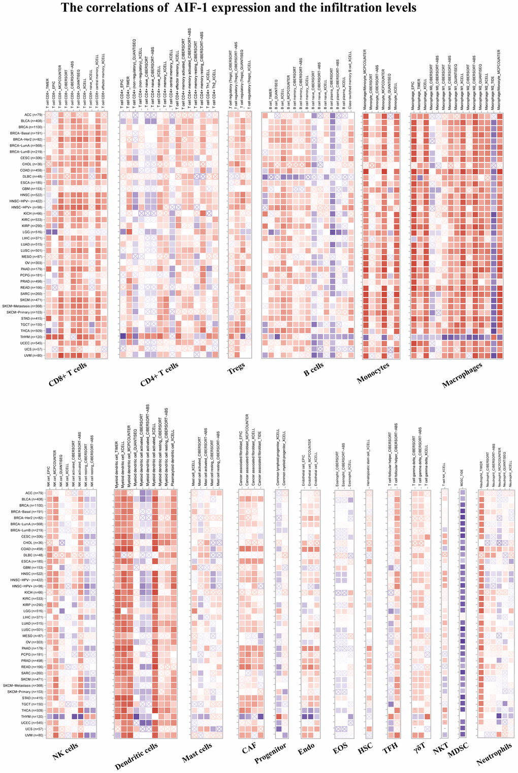 TIMER immune cell infiltration analyses. Correlations between AIF-1 expression and the infiltration levels of CD8+ T cells, CD4+ T cells, regulatory T cells (Tregs), B cells, monocytes, macrophages, NK cells, dendritic cells, mast cells, CAFs, progenitors, Endo, Eos, HSCs, TFH cells, γdT cells, NKT cells, MDSCs, and neutrophils in cancers. Positive correlation in red and negative correlation in blue.