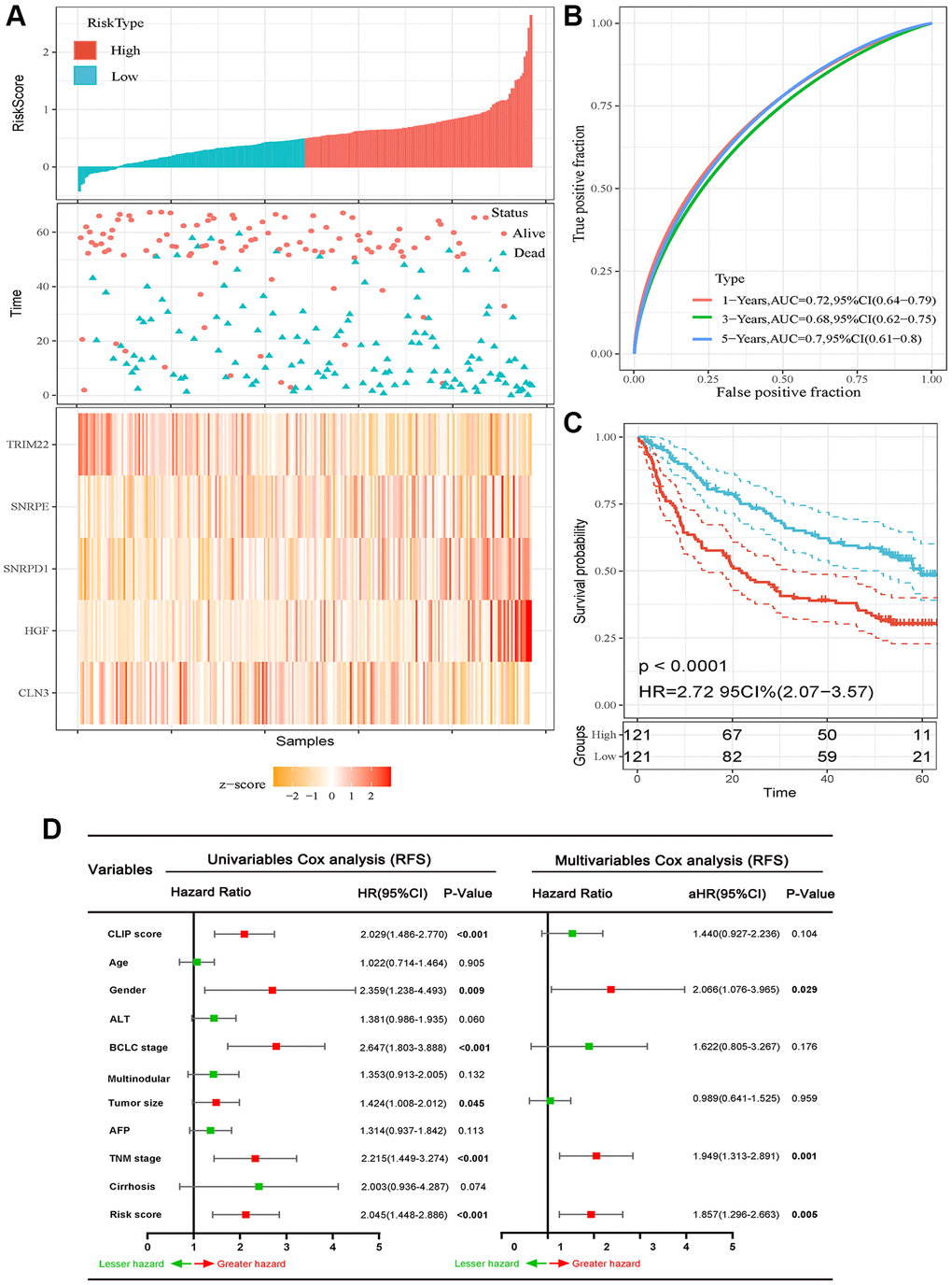 Prognostic analysis of the five-autophagy-related gene signature model in the training set (GSE14520 dataset). (A) Risk score and mRNA expressed heatmap of the five-gene signature. (B) Time-dependent ROC curves of the five-gene signature in the training set. (C) High-risk score correlated with poor RFS probability in the training set. (D) Results of the univariate and multivariate Cox regression analyses regarding of RFS in the training set.