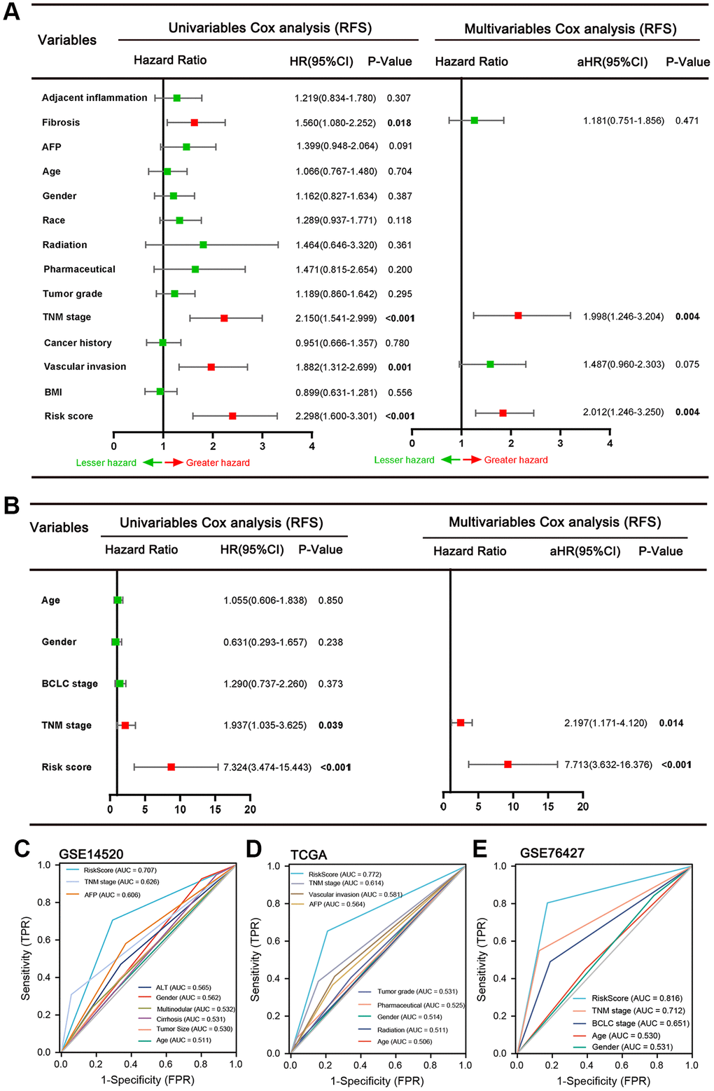 Results of the univariate and multivariate Cox regression analyses regarding RFS in the TCGA (A) and GSE76427 (B) HCC cohort. ROC curve of GSE14520 (C), TCGA (D) and GSE76427 datasets (E). It was found that the risk score exhibited the largest AUC for RFS in three datasets.