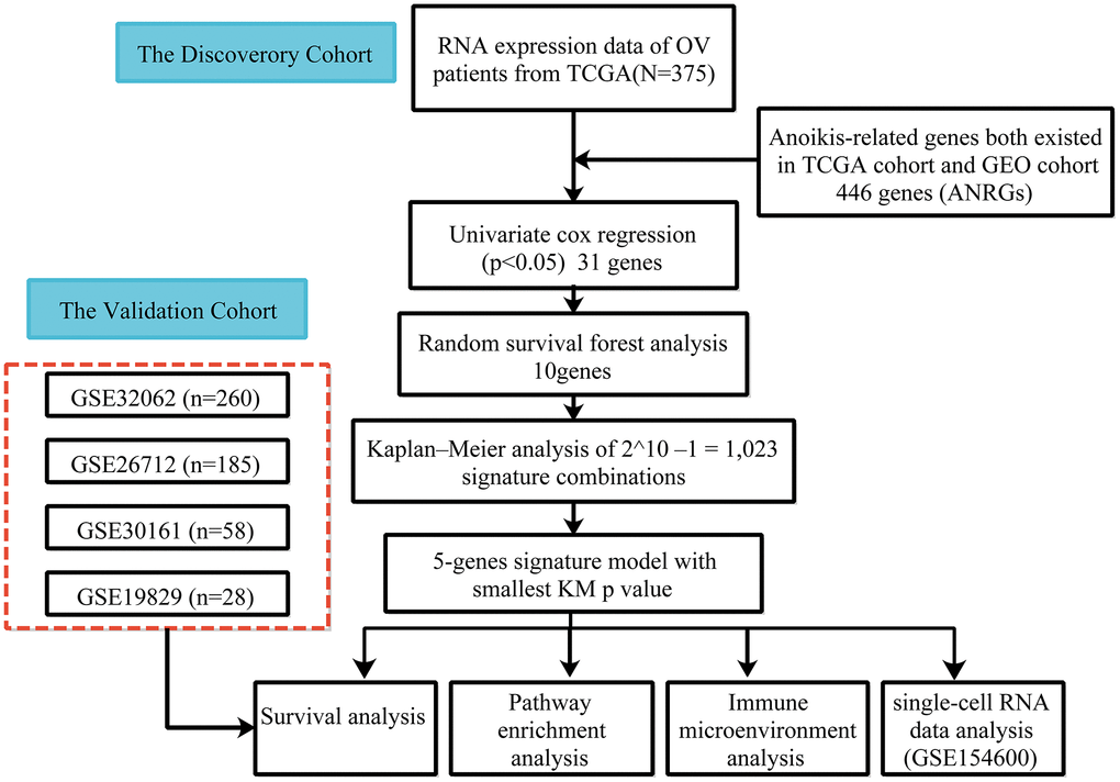 Flow chart of data collection and analysis.