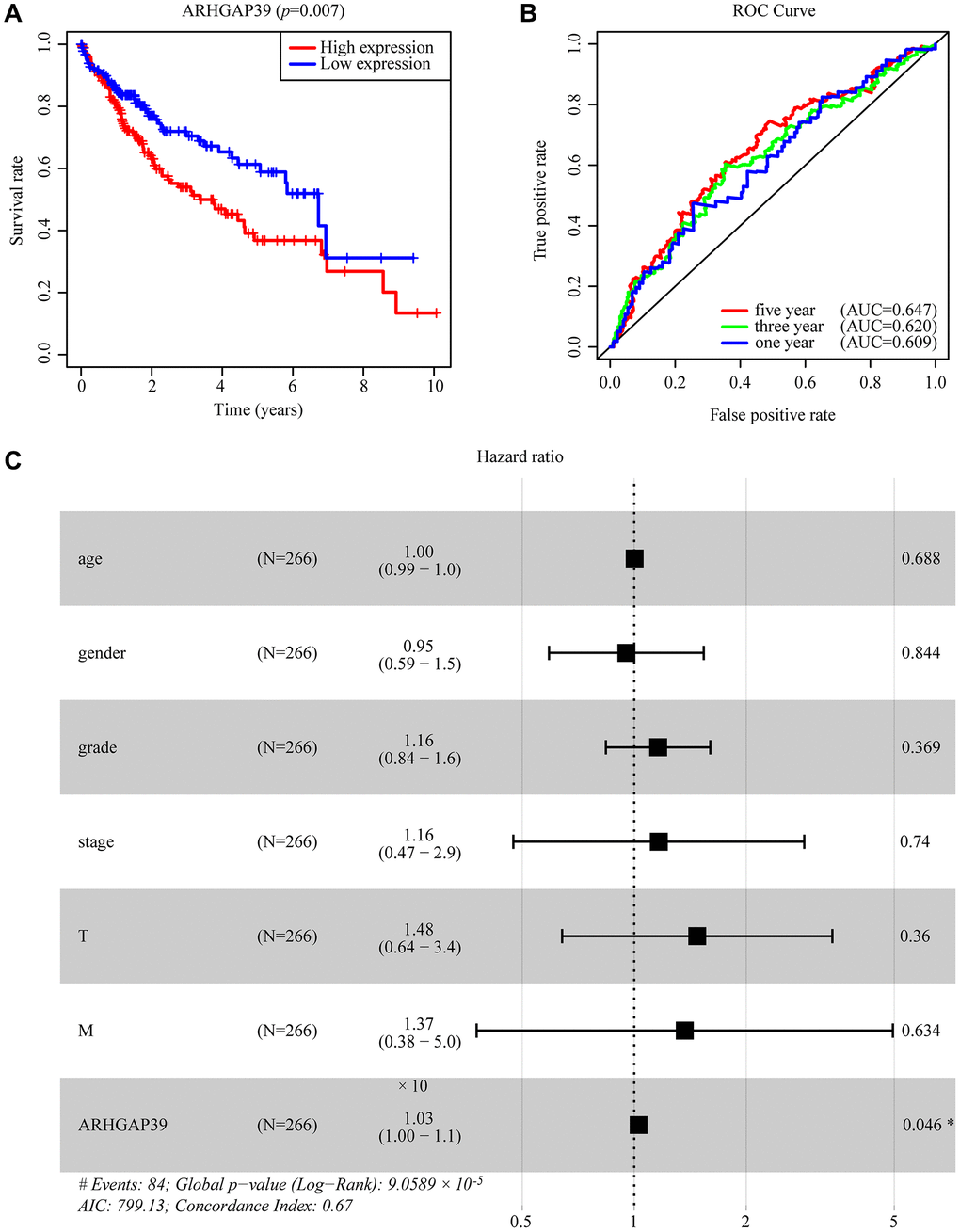 The effectiveness of ARHGAP39 in predicting prognosis. (A) HCC patients with a higher expression level of ARHGAP39 had an unfavorable prognosis (p = 0.007). (B) ROC curves for the 1-, 3-, and 5-year survival according to the expression level of ARHGAP39. AUC, area under the curve; ROC, receiver operating characteristic. (C) A forest plot of the results of the multivariate analysis. *p **p ***p 