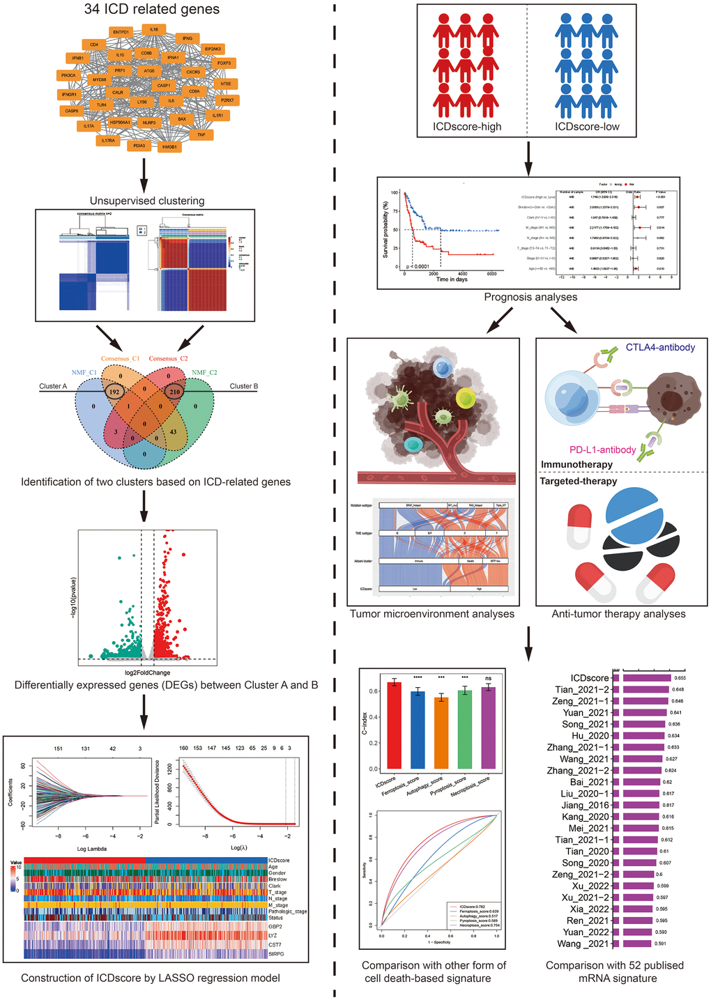 The work flow for the construction of ICDscore. Two clustering methods (consensus clustering and NMF clustering) were used for the molecular subtyping of melanoma patients, based on the gene expression of 34 ICD related genes. Two clusters (named as Cluster A and B) were identified and DEGs between these two clusters were analyzed. The LASSO regression model, multivariate Cox analyses were then used for the construction of ICDscore. The association between the ICDscore and prognosis, tumor immune microenvironment, or immunotherapy response was comprehensively investigated. The performance between ICDscore and other signatures was compared.