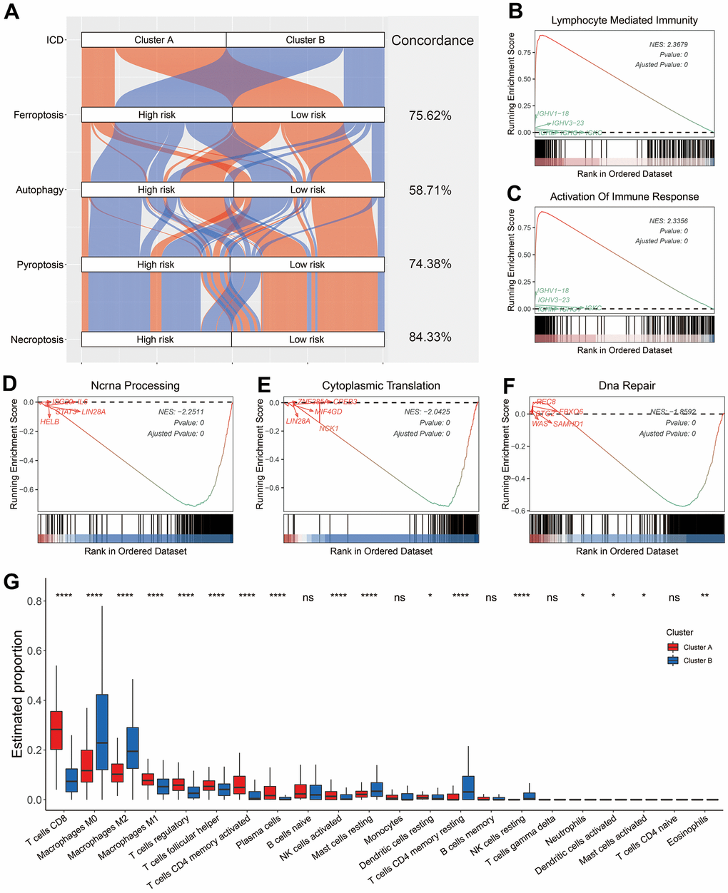 Biological features of melanoma patients in Cluster A and B. (A) Sankey diagram showed the connection degree between ICD-based classification and other forms of cell death-based classification. (B–F) Examples of GSEA results of melanoma patients in Cluster A (B, C) and B (D–F). (G) Distribution of 22 types of infiltrating immune cells in melanoma patients in the Cluster A and B. Ns, not significant; *p 