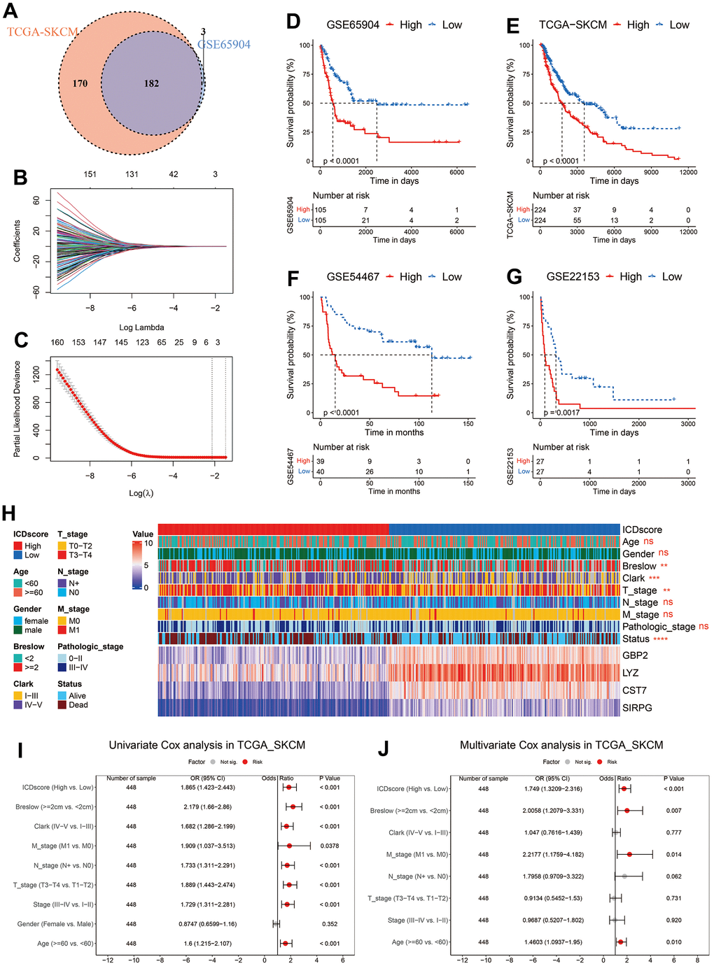 Construction of ICDscore. (A) Venn diagram to screen DEGs with a significant prognostic p-value B, C) The LASSO Cox regression model was constructed from 182 DEGs, and the tuning parameter (λ) was calculated based on the partial likelihood deviance with ten-fold cross validation. 4 signature genes were identified according to the best fit profile. (D–G) Kaplan–Meier curves of OS in melanoma patients from ICDscore-high and ICDscore-low subgroups of GSE65904 (D), TCGA-SKCM (E), GSE54467 (F), and GSE22153 (G) datasets. (H) Clinical characteristics and RNA expression level of 4 crucial genes in melanoma patients from ICDscore-high and ICDscore-low subgroups of the TCGA-SKCM dataset. (I) Univariate analysis of ICDscore and other clinical characteristics in TCGA-SKCM dataset. (J) Multivariate analysis shows ICDscore, breslow depth, M stage and age were independent prognostic factors. Ns, not significant; *p 