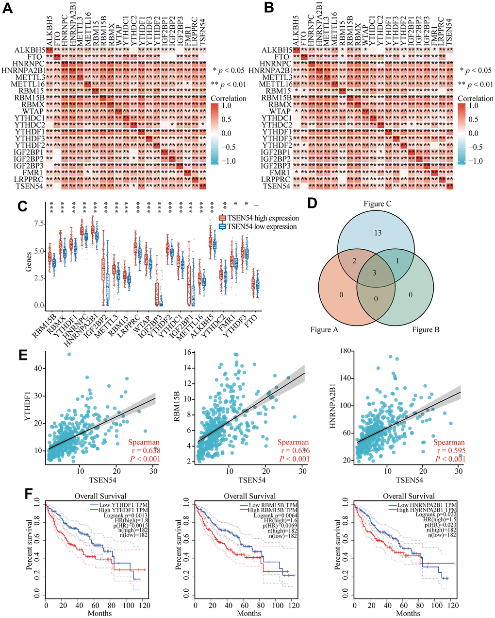 TSEN54 may be relevant to m6A modification in HCC. Heatmaps illustrate the association between TSEN54 and regulators relevant to m6A by (A) TCGA and (B) ICGC databases in HCC. (C) The linkage between high and low expression of TSEN54 and the m6A-related regulators in HCC. (D) Regulators with expression correlation greater than 0.55 and exhibiting meaningful differential expression are shown by the Venn plot. (E) The correlation scatter plots between TSEN54 and 3 regulators in the cross set, including YTHDF1, RBM15B and HNRNPA2B1. (F) Survival curves of YTHDF1, RBM15B and HNRNPA2B1 in HCC.