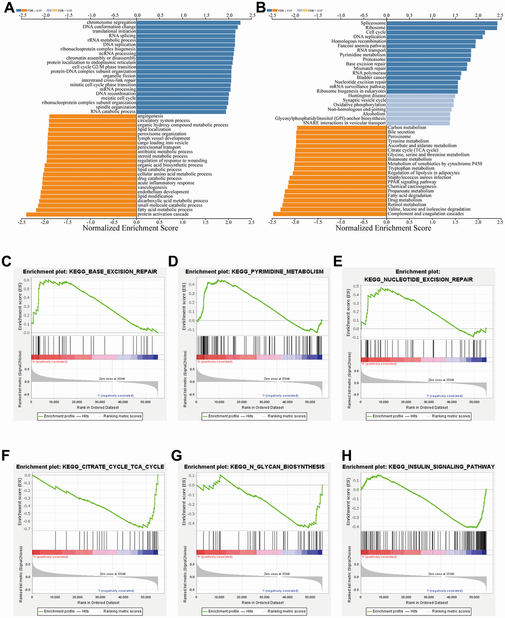 Functional enrichment study of TSEN54 co-expressed genes. (A) Go annotations and (B) KEGG pathways with a notable enrichment of the TSEN54 co-expression genes in HCC by LinkedOmics. (C–H) Analysis of the respective pathways enriched in high and low expression of TSEN54 and its co-expressed genes according to GSEA.