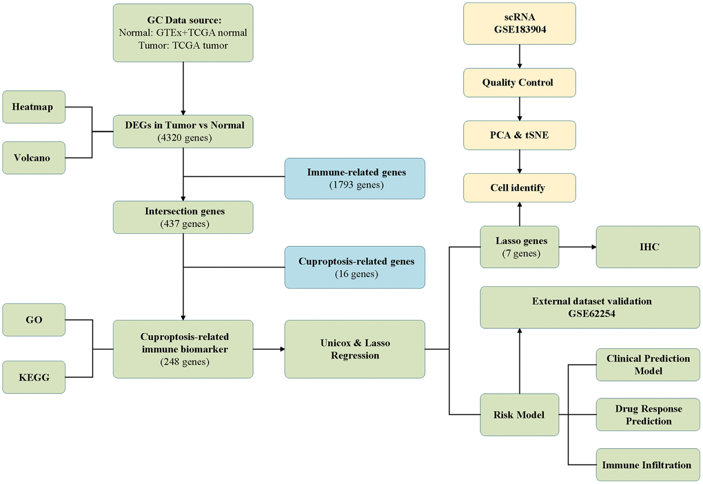 The analysis flow of this study.