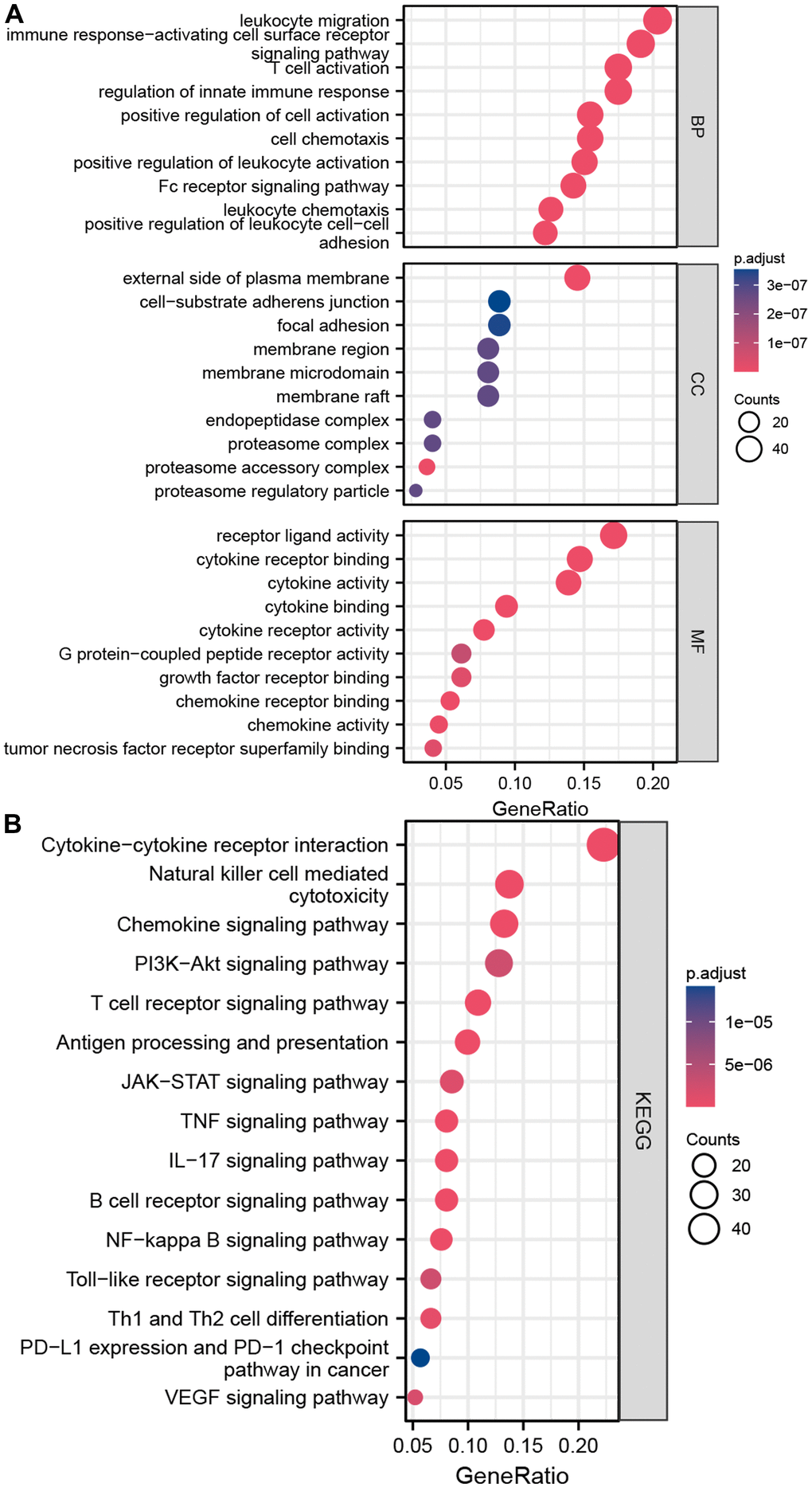 Enrichment analyses of differentially expressed CRIGs. (A) The results of GO analysis. (B) The results of KEGG analysis.