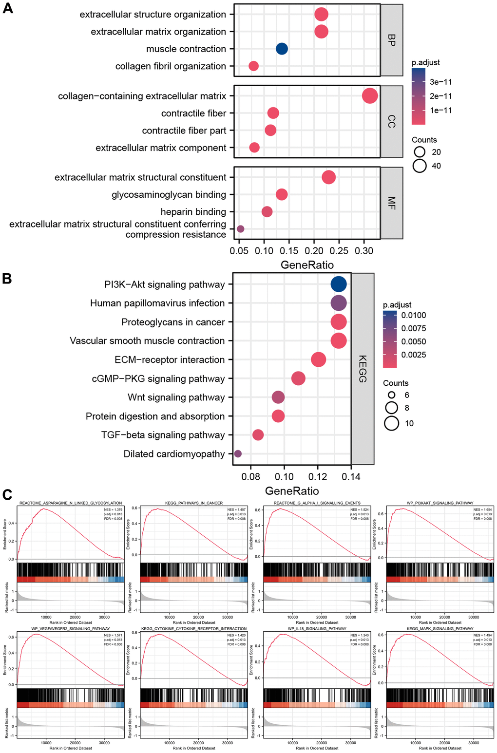 Enrichment analyses and GSEA analysis of differentially expressed genes between high-risk groups and low-risk groups. (A) The results of GO analysis. (B) The results of KEGG analysis. (C) The results of GSEA analysis between high-risk groups and low-risk groups.