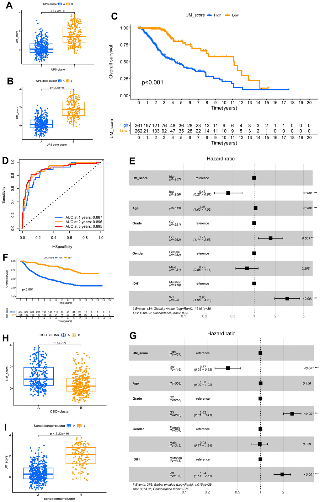 Construction of ubiquitination modification characteristic signature. (A, B) Distinction in the UM-score between ubiquitination modification modes and gene clusters in TCGA-LGG cohorts. (C) Survival analyses for the UM-score groups based on 523 patients with low-grade glioma from TCGA-LGG cohort. (D) The forecast value of UM-score in patients among the TCGA-LGG cohorts (AUC: 0.867, 0.896, and 0.895; 1, 2, and 3-years overall survival). (E) Multivariate Cox regression analysis, which included the factors of UM-score, Age, Grade, Gender, IDH1 status and patient outcomes in the TCGA-LGG cohort. (F) Survival analyses for the high- and low-UM-score groups based on 592 patients with low-grade glioma from CGGA-LGG cohort. (G) Multivariate Cox regression analysis, which included the factors of UM-score, Age, Grade, Gender, IDH1 status and patient outcomes in the CGGA-LGG cohort. (H, I) Distinction in the UM-score between CSC-clusters and Senescence-clusters in TCGA-LGG cohorts.