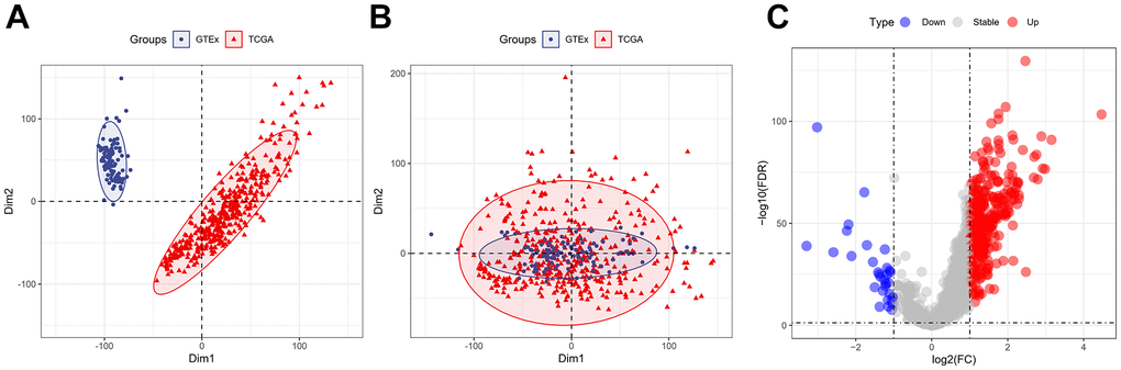 Expression of the cellular senescence-related genes. (A) PCA analysis of gene expression profiles from TCGA-LIHC and GTEx datasets before batch effect removal. (B) After batch effect removal, PCA analysis of gene expression derived from two different datasets. (C) The volcano plots of the combined dataset’s cellular senescence-related genes.