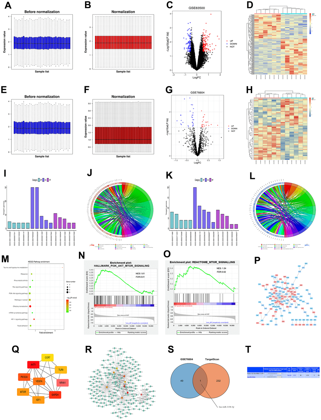 (A, B) Standardization of GSE83500 dataset, in which blue represents the data before standardization, and red represents the data after standardization. (C) DEGs between two groups of samples in the GSE83500 data set, in which red represents up-regulated genes, blue represents down-regulated genes, and black represents genes with no significant difference in expression (/logFC/>1, PD) Clustering heat map of top 100 differential genes, in which red represents relatively up-regulated genes, blue represents relatively down-regulated genes, and yellow indicates genes with no significant difference in expression. (E, F) Standardization of the GSE83500 data set, where blue represents the data before standardization, and red represents the data after standardization. (G) DEGs between the two groups in the GSE83500 data set, where red represents up-regulated genes, blue represents down-regulated genes, and black represents genes with no significant difference in expression (/logFC/>1, PH) Cluster heat map of top 100 DEGs, where red represents relatively up-regulated genes, blue represents relatively down-regulated genes, and yellow indicates genes with no significant difference in expression. (I) Enrichment of the top 15 up-regulated GO terms. (J) Enrichment function of up-regulated DEGs. (K) Enrichment of the top 15 down-regulated GO terms. (L) Enrichment function of down-regulated DEGs. (M) KEGG pathway analysis of DEGs. (N, O) GSEA of the enrichment pathway. (P) PPI network analysis diagram of enrichment pathways, where red represents up-regulated genes, and blue represents down-regulated genes. (Q) Top 10 target genes in PPI network score. (R) Target genes of miRNA predicted using targetScan. (S) Venn diagram showing common miRNAs. (T) The binding site between mRNAs and miRNAs.