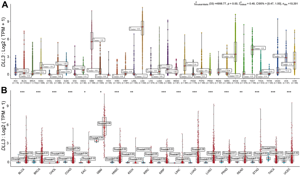 Differential expression of DLL3. (A) DLL3 expression in 34 types of cancer. (B) Comparison of DLL3 expression between tumor and normal samples. *P 