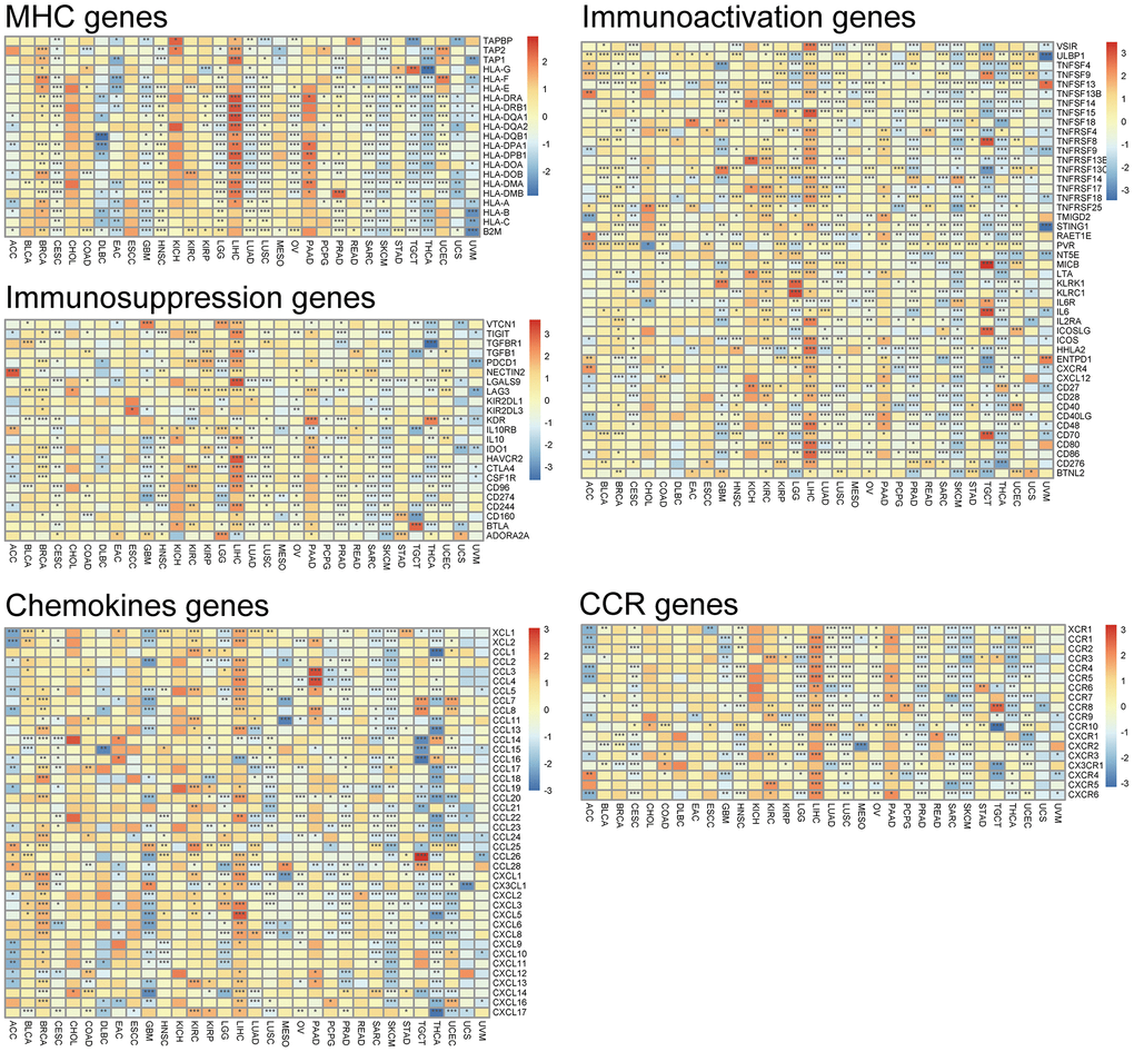 Co-expression of DLL3 and immune-related genes. *P 