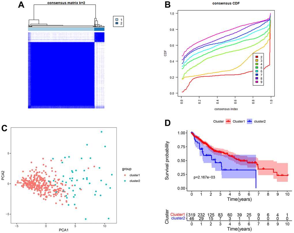 Clustered subgroups of DEGs in TCGA-LIHC set. (A, B) K = 2 was chosen to construct the clustered subgroups. (C) Principal component analysis of transcriptional addiction genes to distinguish different clustered subgroups. (D) Survival analysis for the gene clusters based on 365 patients from TCGA-LIHC set.