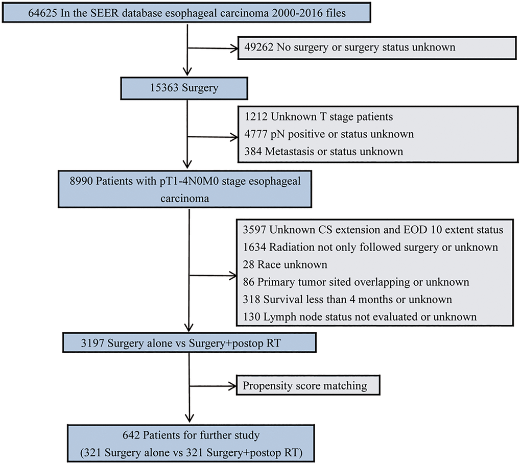 Diagram of the primary study cohort selection steps.