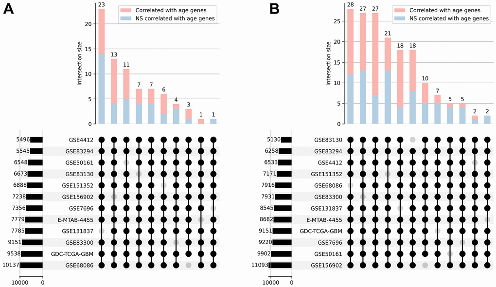 Correlation analysis. UpSet plots [30] representing the overlap of positively (A) and negatively (B) correlated with age genes across 12 transcriptomic datasets. The combination matrix identifies the intersections, while the bars on top represent the size of each intersection divided into significantly and not significantly (NS) correlated genes. Bars on the left depict the overall amount of correlated genes in each dataset.