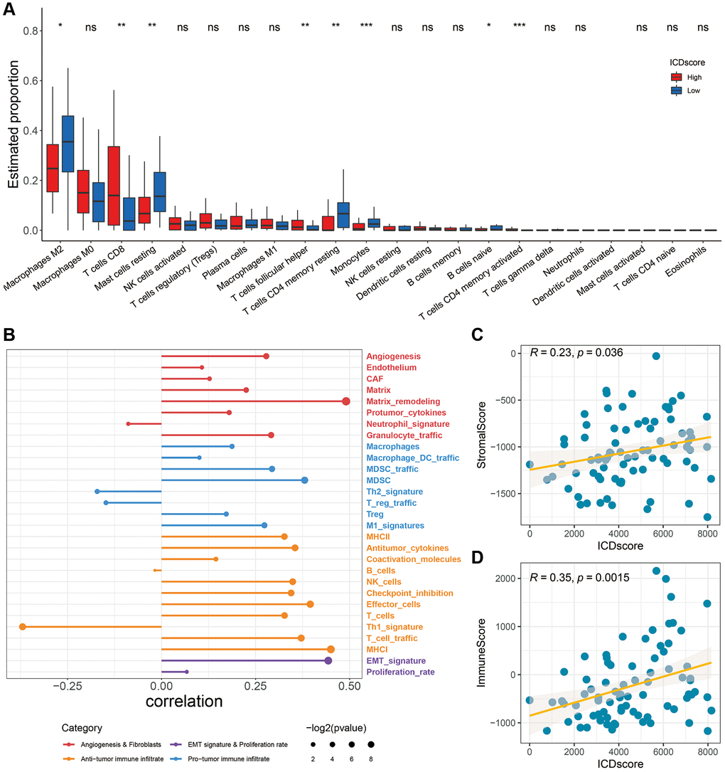 Association between immune characteristics and the ICDscore. (A) Distribution of 22 types of infiltrating immune cells in patients in the high-ICDscore and low-ICDscore subgroups of the TCGA-UVM cohort. (B) Correlation analysis between the ICDscore and 29 Fges. (C, D) Correlation analysis of the ICDscore with StromalScore (C) and ImmuneScore (D). Abbreviation: Ns: not significant. *p **p ***p ****p 