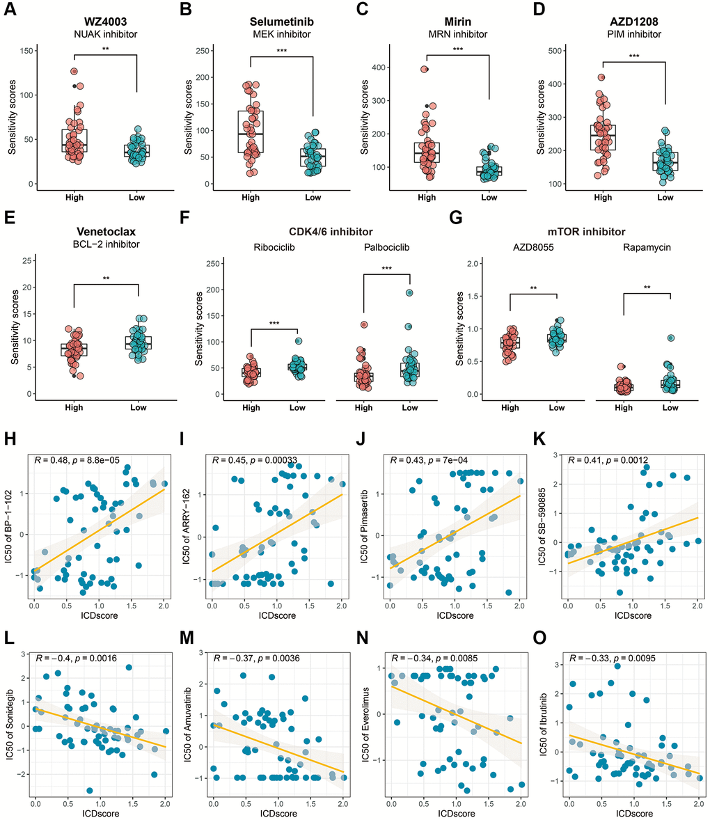 Drug sensitivity analysis based on the ICDscore grouping. (A–G) Sensitivity analysis of WZ4003 (A), Selumetinib (B), Mirin (C), AZD1208 (D), Venetoclax (E), CDK4/6 inhibitor (F), and mTOR inhibitor (G) in UVM patients from high-ICDscore and low-ICDscore subgroups. (H–O) Correlation analysis between the ICDscore and the IC50 of BP-1-102 (H), ARRY-162 (I), Pimasertib (J), SB-590885 (K), Sonidegib (L), Amuvatinib (M), Everolimus (N), and Ibrutinib (O). Abbreviation: Ns: not significant. *p **p ***p ****p 