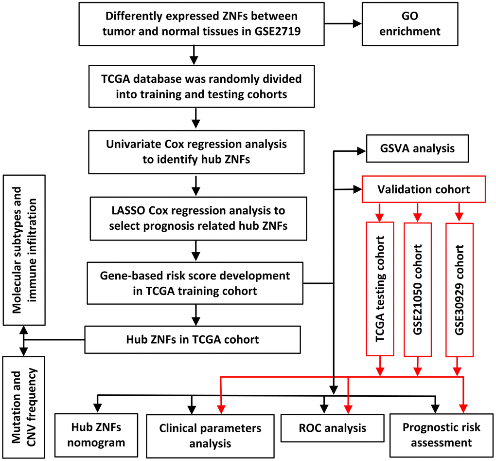 Framework for analyzing ZNFs in STS.