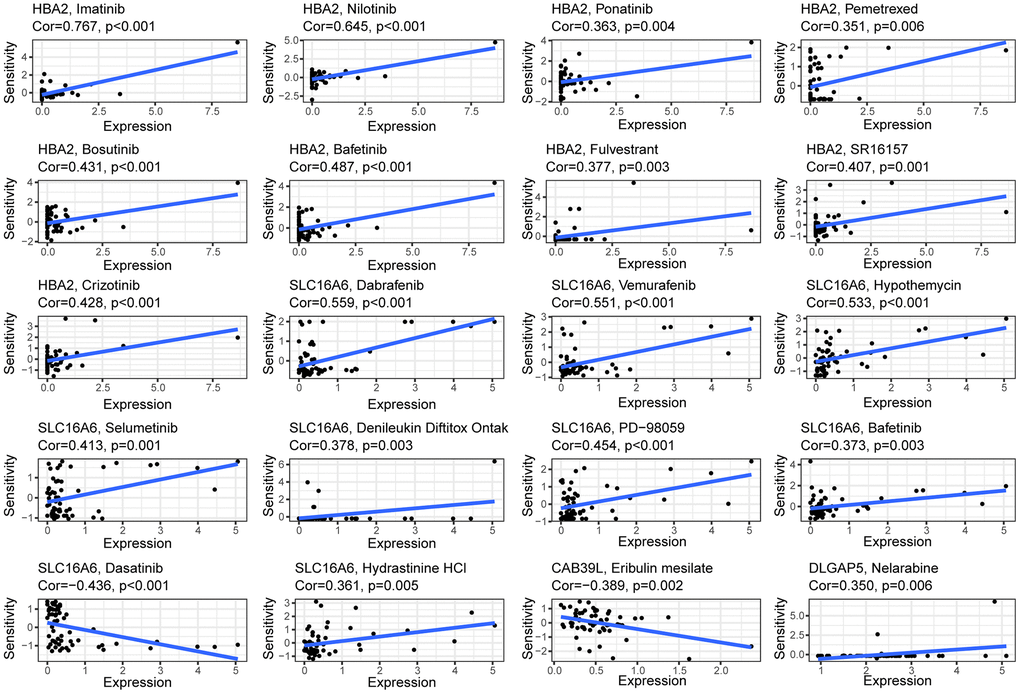 Correlation between the expressions of BCCGs and sensitivity of potential anticancer drugs: The relationship between the IC50 of various medications and the risk score.