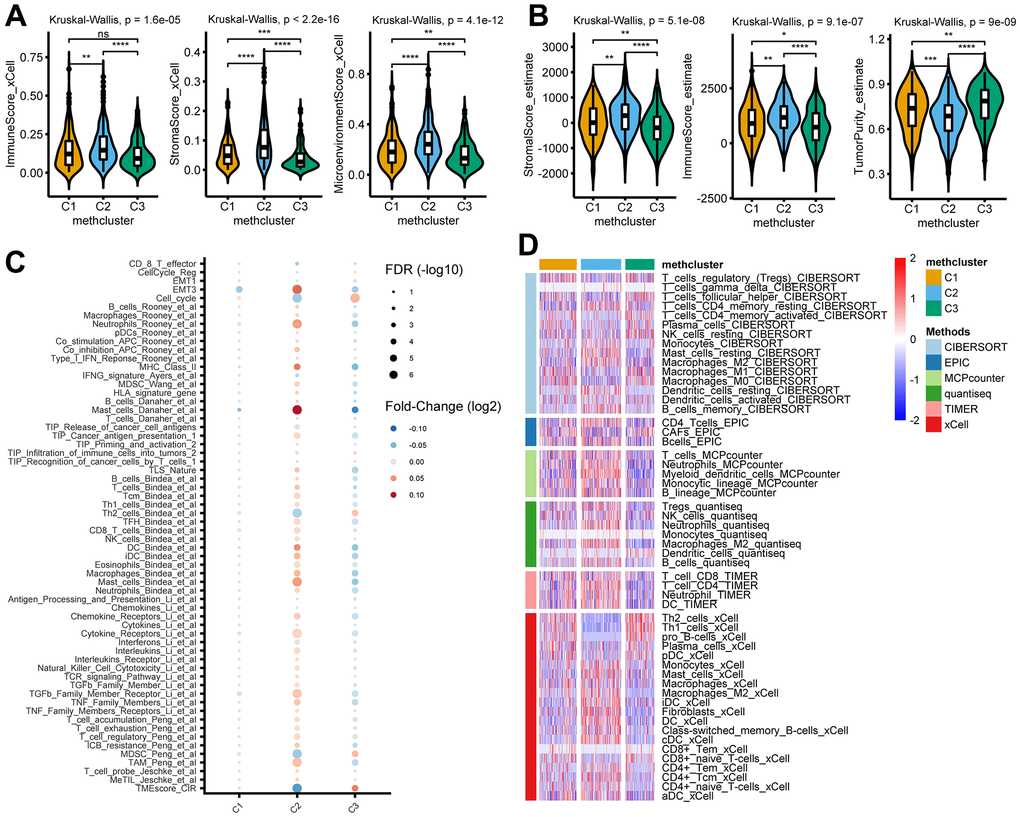 TME and immunological characteristics in distinct MRG modification patterns. (A, B) The differences of indicated TME characteristics (immune score, stromal score, and tumor purity) among three MRG modification patterns. The TME score was evaluated using the xCELL (A) and ESTIMATE (B) algorithm, respectively. (C) The differences of indicated TME-related signatures among three MRG modification patterns. The fold change between each subtype and the remaining samples were compared using the Wilcoxon rank sum test. The color of the dots indicates fold changes (log2) and size indicates the FDR values. (D) The differences of indicated immune cells among three MRG modification patterns. The relative cell abundances were calculated using 6 deconvolution algorithms as indicated. *P P P P 