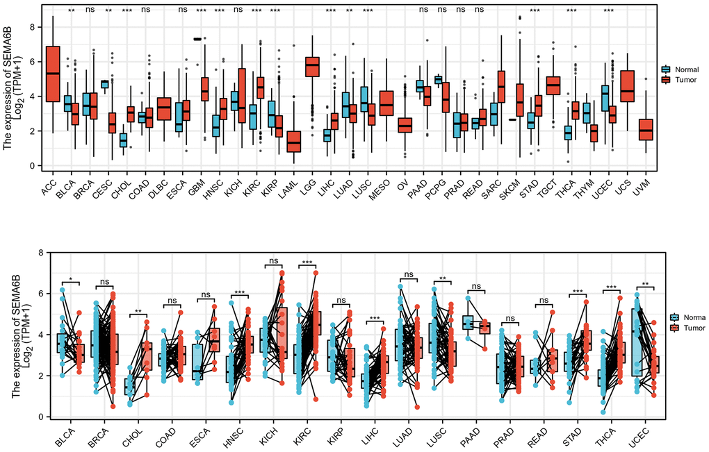 Expression comparison of SEMA6B mRNA level in matched tumor and adjacent normal tissue from multiple malignancies. SEMA6B mRNA level was calculated from RNA-seq data from tumor sample and match normal tissue in TCGA database (n=17 for normal tissues, n=18 for tumor tissues).