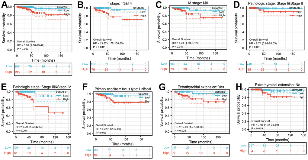 (A) Kaplan-Meier curve indicating overall survival comparison between THCA patient subgroup with high/ low SEMA6B mRNA expression; (B–H) Overall Survival comparison between THCA Patients Subgroup with SEMA6B high/low expression, patient subgroups were divided by TNM stages (B, C), Pathologic stages (D, E), Primary tumor focus type (F), Extra thyroidal extension (G, H) (n=502).