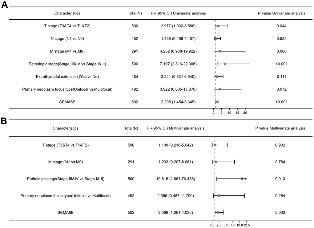 Univariate and multivariate Cox regression analyses of multiple clinical characteristics associated with overall survival. Inspected clinical characteristics includes TNM stages, pathologic stages, primary neoplasm focus type, extrathyroidal extension and SEMA6B expression level.