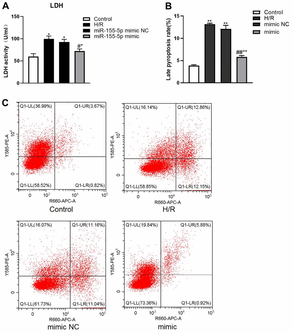 Changes of LDH and pyroptosis rate in all HK2 groups. (A) Expression of LDH activity. (B) Late pyroptosis rate of HK2 cell, (C) Flow cytometric graphs showing cell pyroptosis. The red dots in higher right quadrant of each flow cytometry diagram indicate pyroptosis cells. (*pppp