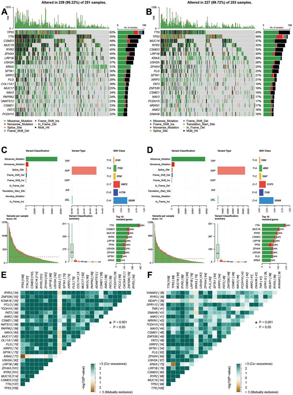 Gene alterations and variations of different risk groups. (A, B) Genes alterations of high- and low-risk groups. (C, D) Variant classification and types of high- and low-risk groups. (E, F) Co-occurrences and mutually exclusive status of high- and low-risk groups.