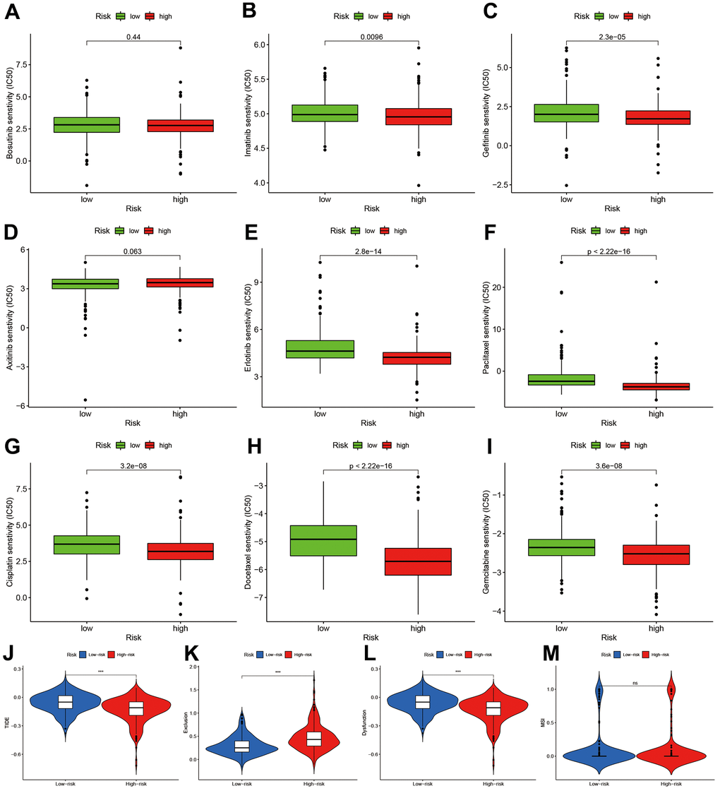 Chemotherapy sensitivity and immunotherapy response assessment. (A–I) IC50 of nine kinds of chemotherapy drug between high- and low-risk groups. (J–M) Immunotherapy response prediction based on Tumor Immune Dysfunction and Exclude module.