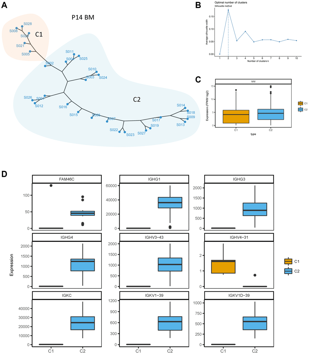 Unsupervised clustering of BMMCs of patient P14. (A) Unsupervised clustering of BMMCs of patient P14 at the single cell transcriptome level. One point means one single cell of P14 BMMCs. C1 and C2 means cluster 1 and cluster 2, showed by two different colors. (B) Silhouette method for cluster selecting. Average silhouette width was calculated for one to ten cluster. The cluster number was chosen with the biggest average silhouette width (dotted line). (C) Lower transcriptome expression level in C1 compared with C2 of single cell transcriptome in P14 patients. P = 0.0003, Mann Whitney test, two sided. (D) FAM46C and immunoglobulin genes were differently expressed between C1 and C2. P 