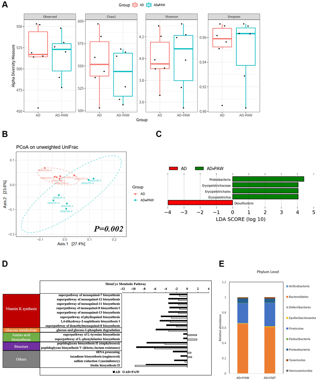 Fecal microbiome distribution analysis in AD- and plasmon-activated water (PAW)-fed AD mice. The stool from AD and PAW-fed AD mice were prepared for fecal microbiotic profiling by high-throughput sequencing of the 16S rRNA gene with the Illumina MiSeq system. (A) Alpha diversity of PAW-treated samples and untreated controls. Principal coordinate analysis (PCoA) plot based on (B) unweighted UniFrac distances of PAW-treated samples and untreated controls. Significant differences in beta diversity were evaluated with a permutational multivariate analysis of variance (vegan::adonis, 1000 permutations), and beta dispersion was quantified with a betadisper (vegan::betadisper, 1000 permutations). The PCoA unweighted UniFrac indices achieved adonis p p > 0.05. (C) Linear discriminant analysis (LDA) effect size (LEfSe) analysis of gut microbiotic changes in mice treated with PAW. Significant biomarkers were defined as taxa with an LDA score (log10) of  ≥ 2. (D) Prediction of PAW-fed induced metagenome functions change in AD mice based on 16S sequencing analysis by PICRUSt2 analysis. (E) Comparison of fecal microbiotic distributions in PAW-fed and fecal microbiota transplantation (FMT) AD mice.