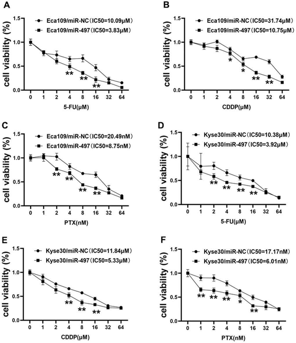 miR-497 overexpression increases the effect of 5-FU, CDDP and paclitaxel treatment in EC Cells. (A–C) Eca109 cells were treated with different concentrations of 5-FU, CDDP or paclitaxel as indicated, the cell viability was analyzed using CCK8 assay. Overexpression of miR-497 significantly increased chemo-sensitivity. (D–F) Forced expression of miR-497 in Kyse30 rendered cells more sensitive to 5-FU, CDDP or paclitaxel treatment. Data were representative of 3 independent experiments. * indicated significant difference at p