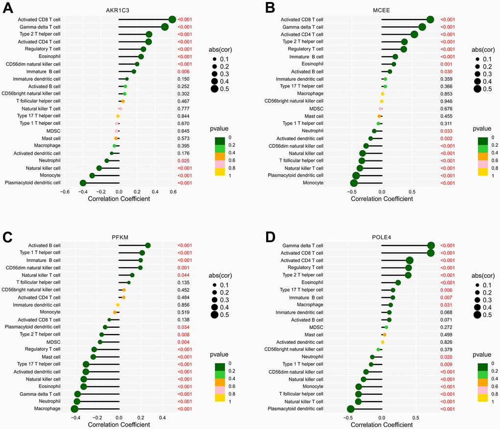 Correlation analysis of diagnostic feature biomarkers and immune infiltration cells. The lollipop diagram illustrates the correlation of 23 immune cells and (A) AKR1C3, (B) MCEE, (C) PFKM, and (D) POLE4. The dot represents the absolute value of the correlation coefficient, and the p -values are annotated with different colors. p 