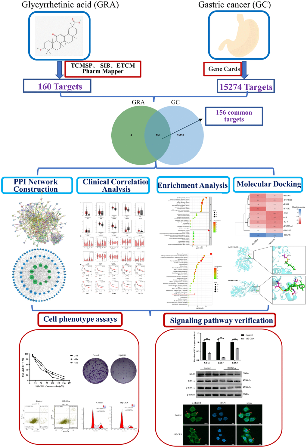 Workflow of the present study in a graphical manner.