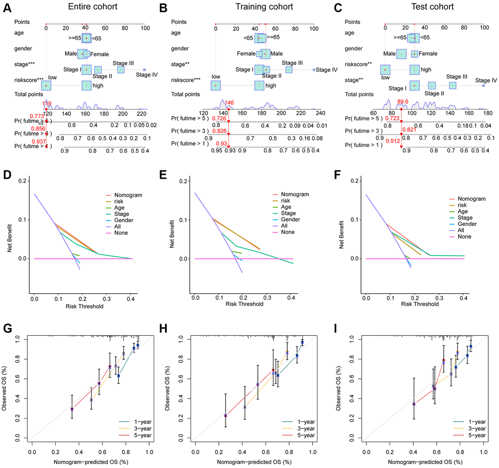 Development of the nomogram for evaluating the survival probability in HCC. (A–C) Nomogram development of risk score and clinical variates in entire, training and test cohorts. (D–F) DCA curve analysis. (G–I) Calibration curve estimation between the actual OS and predicted OS.