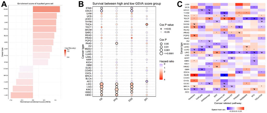 Construction of LPCATs score and its value in pan-cancer. (A) The ssGSEA analysis was used to construct LPCATs score in pan-cancer. (B) The uniCox analysis was used to evaluate association among OS, PFS, DSS, DFI and LPCATs score. (C) The correlation between the LPCATs score and the GSVA score in cases of pan-cancer.