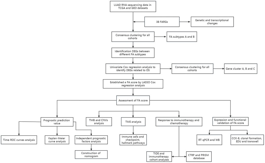 Schematic representation of the present study.