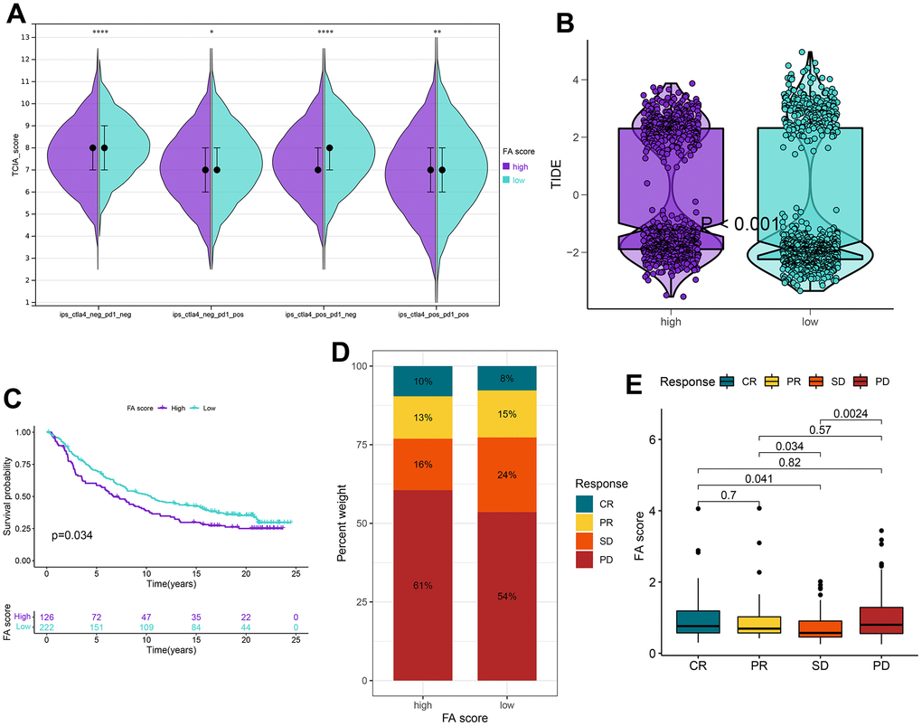 Application of the FA score for immunotherapy prediction in the high and low FA score groups in the TCGA-LUAD cohort. (A) IPS is used to predict the responsiveness to CTLA-4 and PD-1. (B) Distribution of TIDE scores in the whole cohort. (C) Kaplan–Meier curves for patients with high and low FA score in the IMvigor210 cohort. (D) The rate of response to immunotherapy for patients with high and low FA score in the IMvigor210 cohort. (E) The distribution of FA score in different patient statuses in the IMvigor210 cohort. ns, not significant, *P 