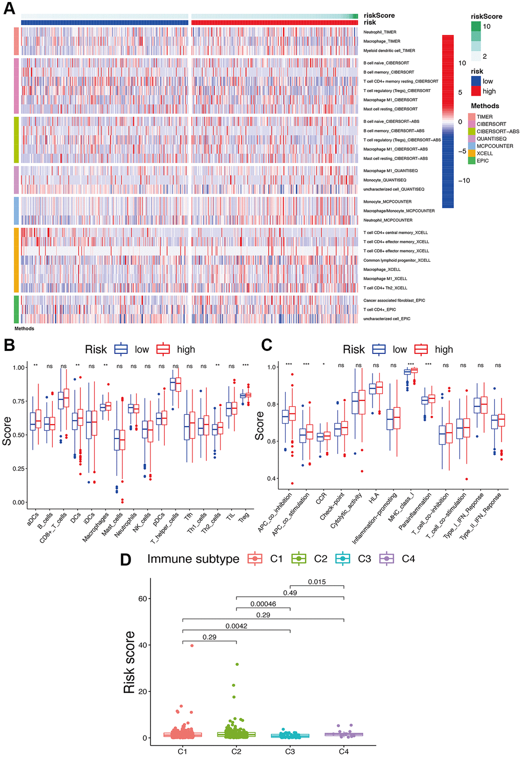 Potential role of risk signature in UCEC immune status. (A) Heatmap for immune responses based on EPIC, XCELL, MCP counter, QUANTISEQ, CIBERSORT, and TIMER among two risk subgroups. Boxplots of scores of immune cells (B) and immune-associated functions (C) in risk subgroups. Associations between risk signature and immune infiltration subtypes (D).