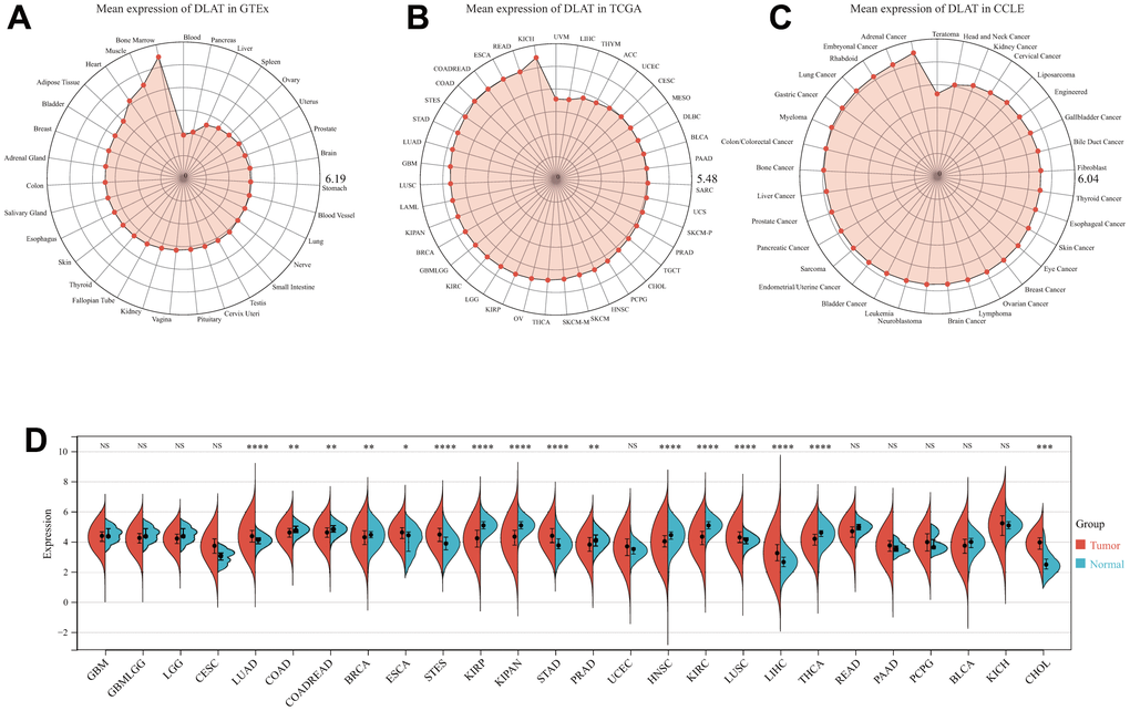 DLAT mRNA expression levels in pan-cancer. (A) DLAT expression levels in normal tissues from GTEx database. (B) DLAT expression levels in tumor tissues from TCGA database. (C) DLAT expression levels in tumor cell lines from CCLE database. (D) DLAT expression difference between tumor tissues and normal tissues from TCGA database; NS, no significance; *p 