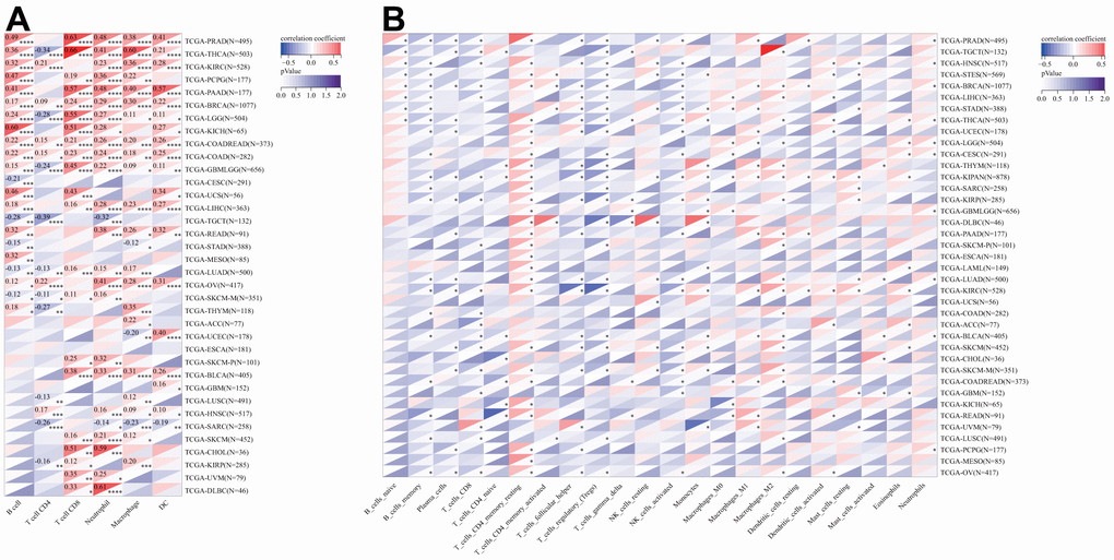 Relationship of DLAT expression with Immune cell infiltration analysis. (A) The relationship between DLAT expression levels and the levels of infiltration of 6 immune-related cells by using TIMER algorithm. (B) The relationship between DLAT expression levels and the levels of infiltration of 22 immune-related cells by using CIBERSOFT algorithm.