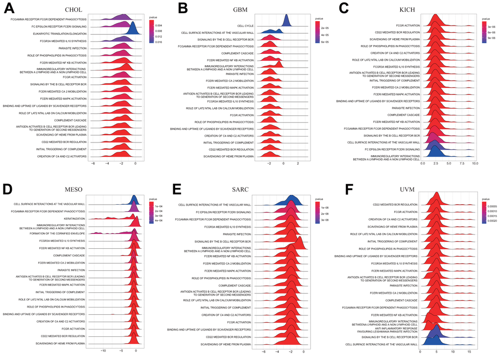 GSEA of DLAT in pan-cancer. (A–F) TOP20 GSEA terms in indicated tumor types.